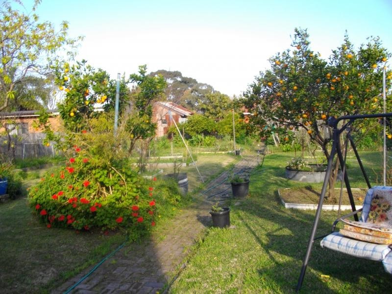 Bexley NSW 2207