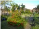 Bexley NSW 2207