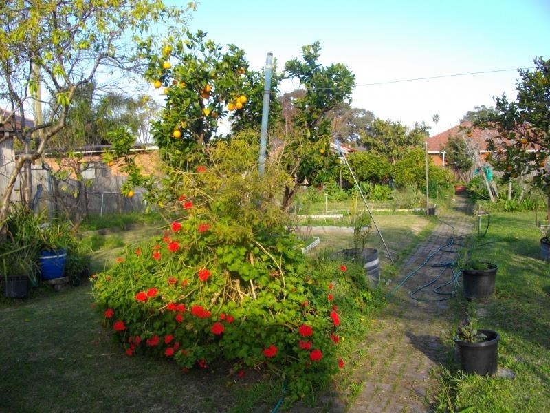 Bexley NSW 2207