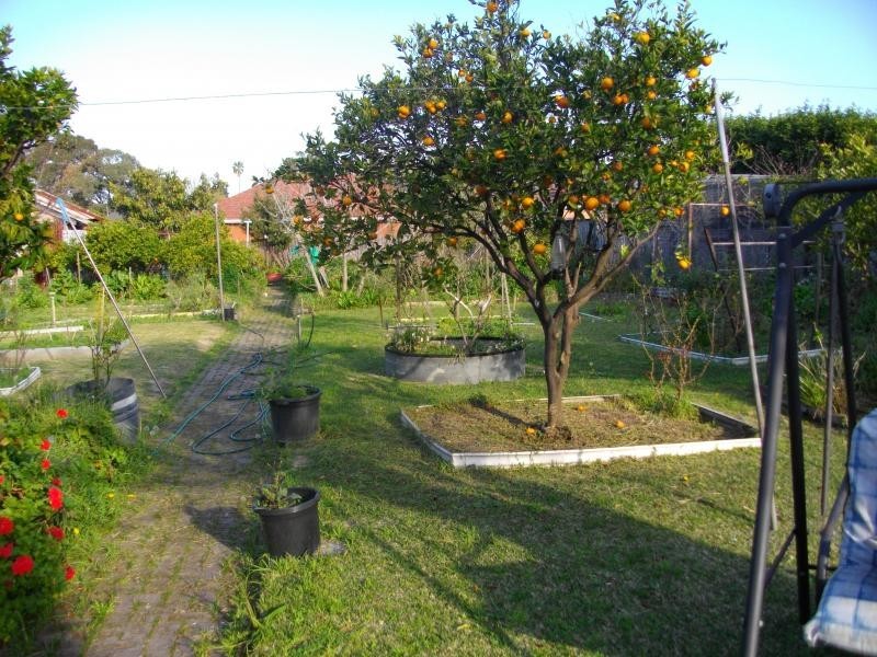 Bexley NSW 2207