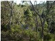 Braidwood NSW 2622