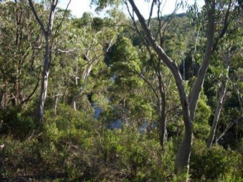 Braidwood NSW 2622