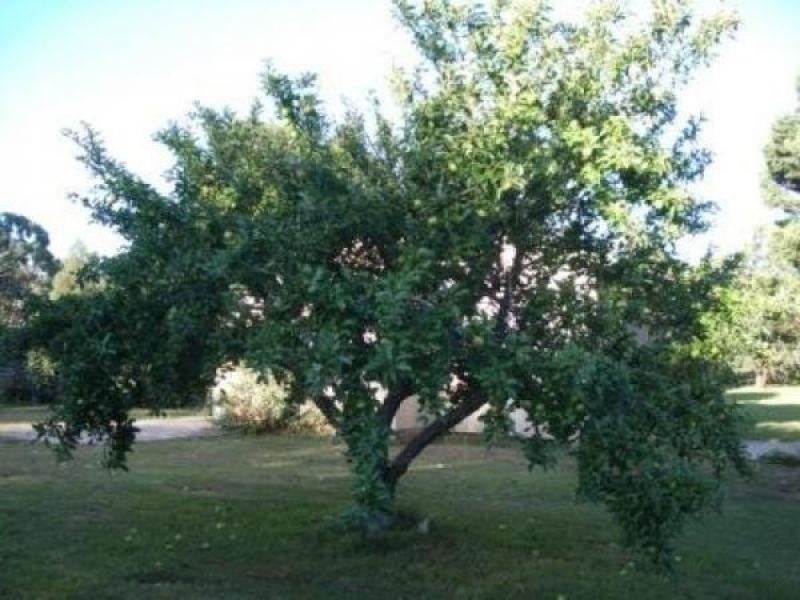 Braidwood NSW 2622