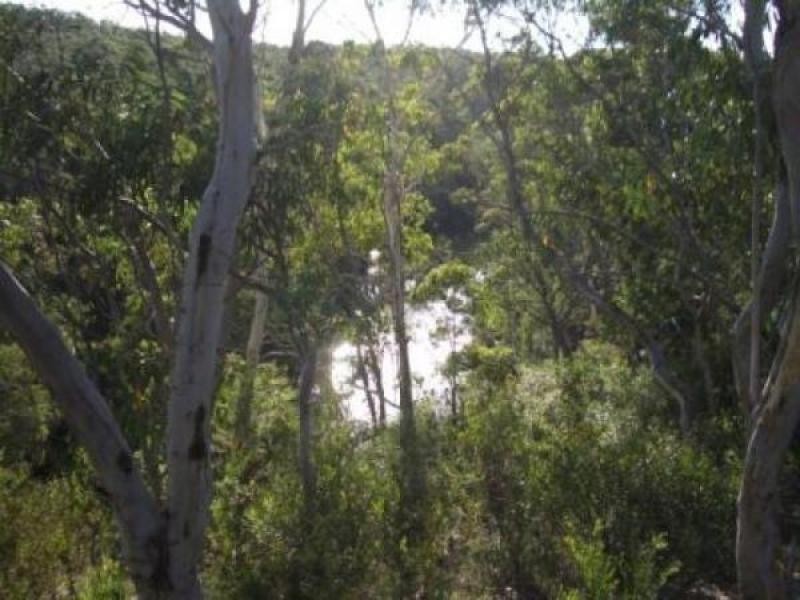 579 Northangera Road, Braidwood NSW 2622