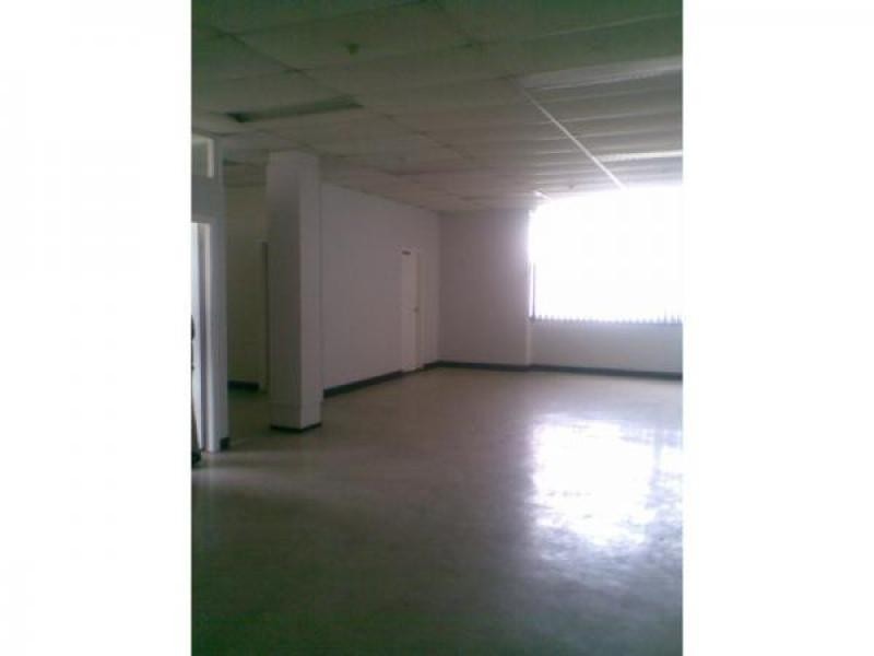 Chippendale NSW 2008