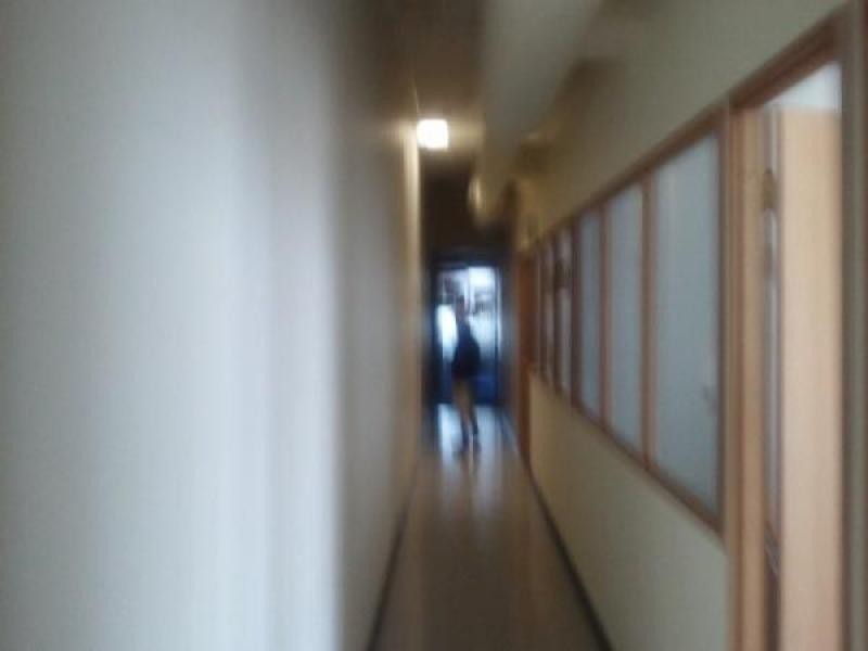 Chippendale NSW 2008