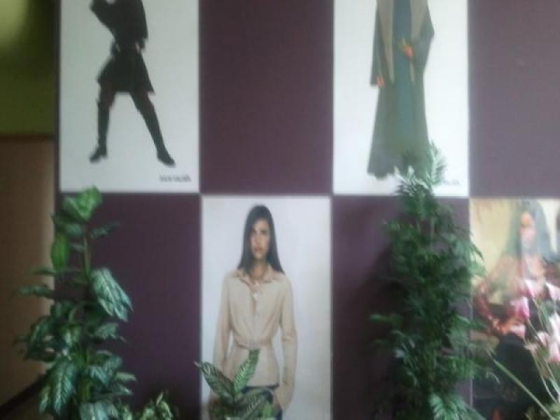 Chippendale NSW 2008