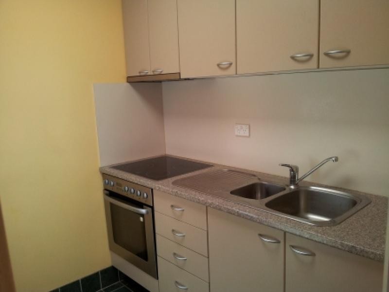 48 Railway Street, Petersham NSW 2049