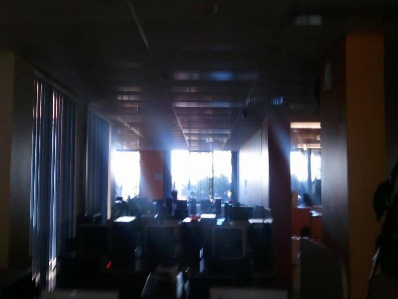 Strathfield NSW 2135