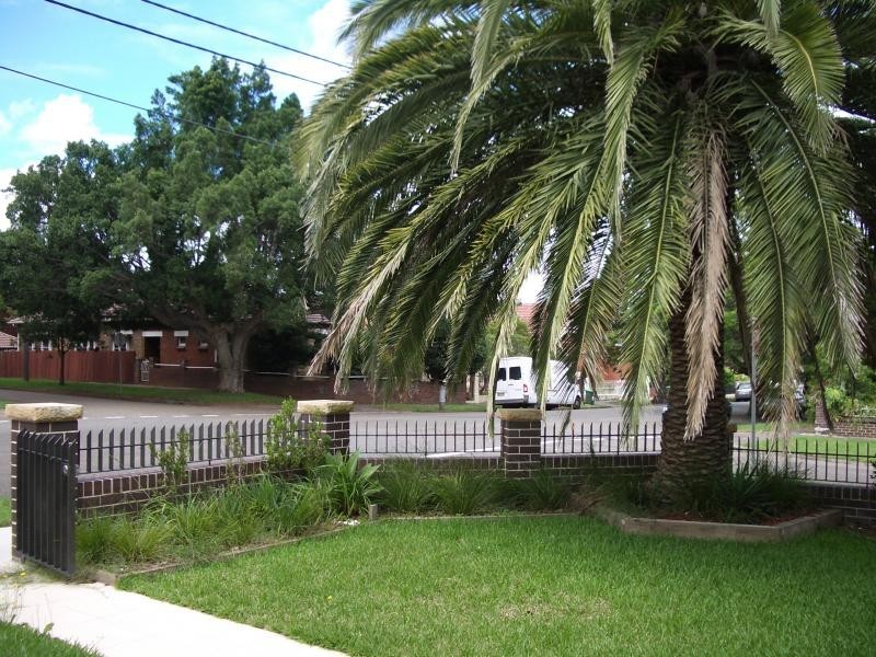 Dulwich Hill NSW 2203