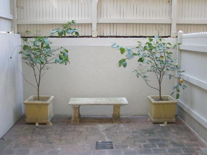 64/1 OLIVIA LANE, Surry Hills NSW 2010