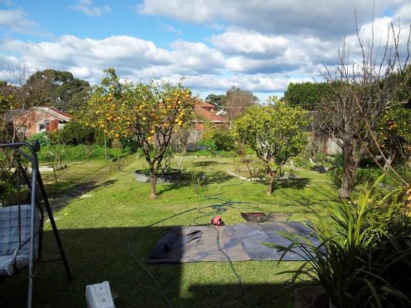 1 Caledonian Street, Bexley NSW 2207