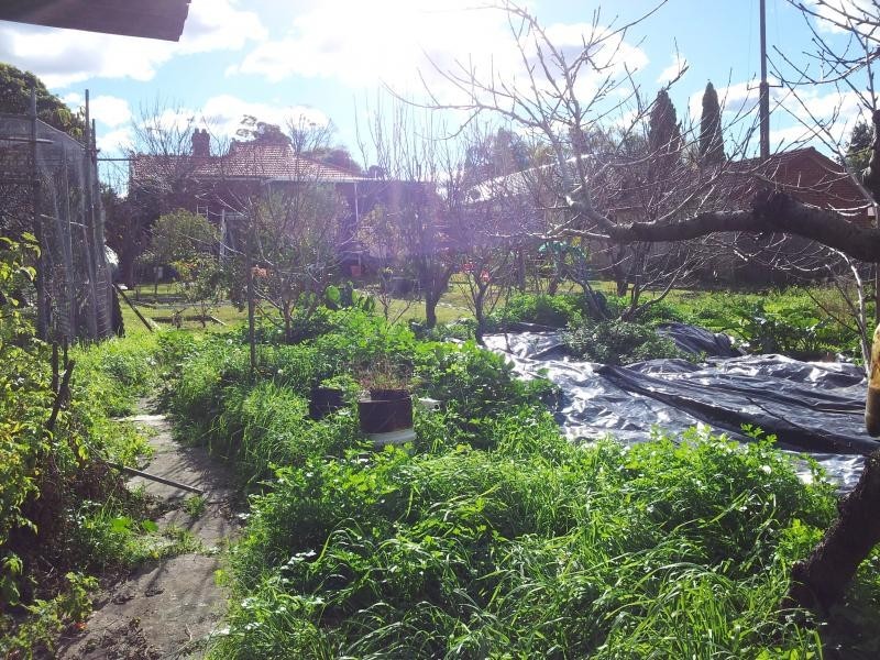 1 Caledonian Street, Bexley NSW 2207