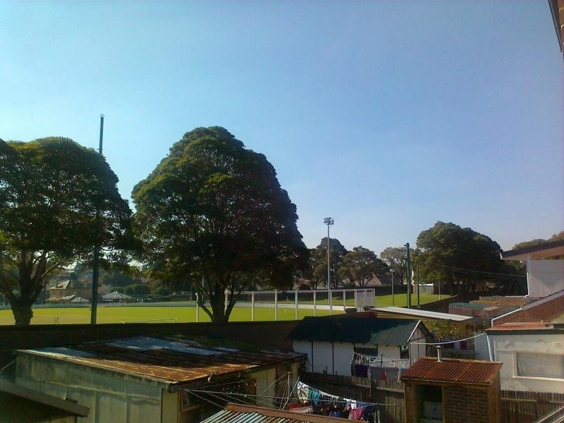 49a park avenue, Ashfield NSW 2131
