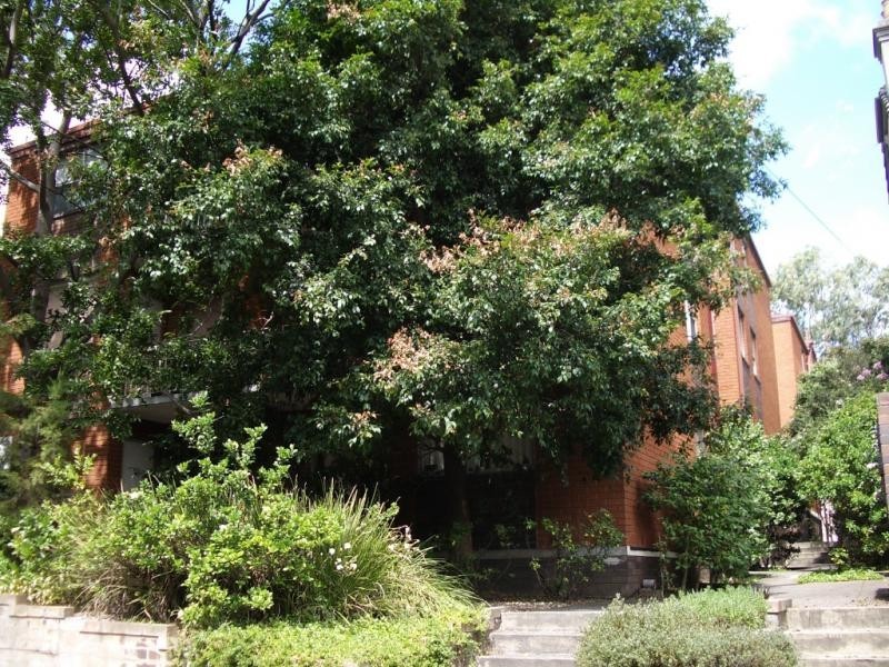 12/1 merchant street, Stanmore NSW 2048
