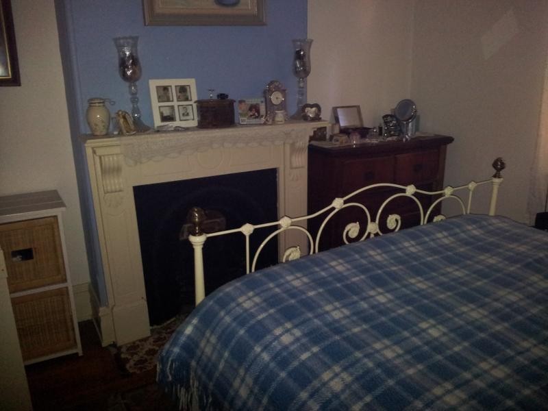 53 albert street, Leichhardt NSW 2040