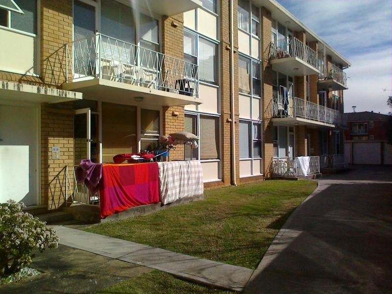 11/10 ORPINGTON STREET, Ashfield NSW 2131