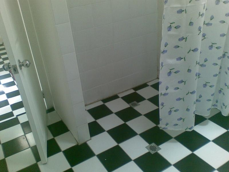 50 Jarrett Street, Leichhardt NSW 2040