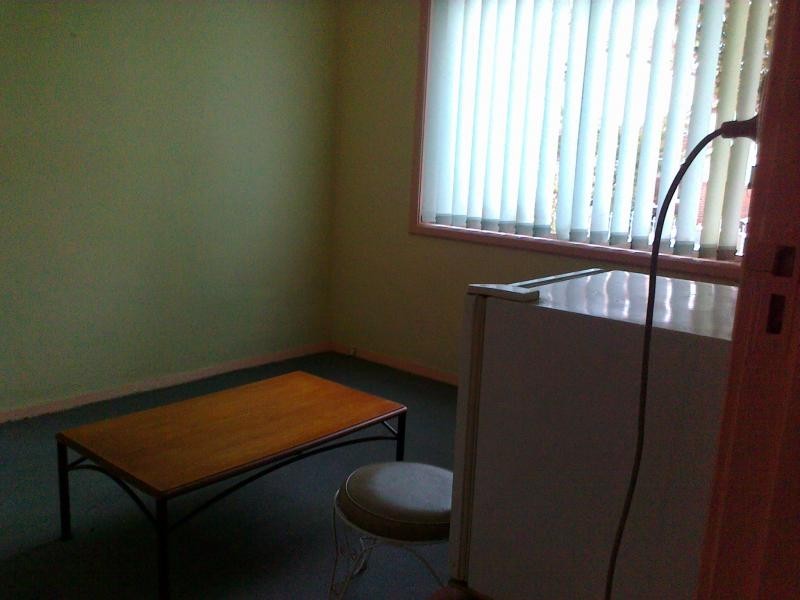 2/44 welleslely street, Summer Hill NSW 2130