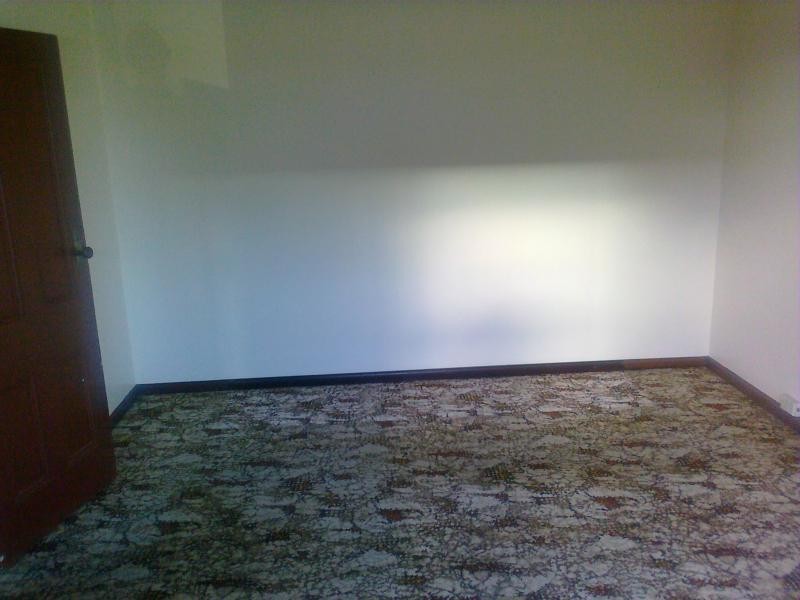 213 Norton Street, Leichhardt NSW 2040