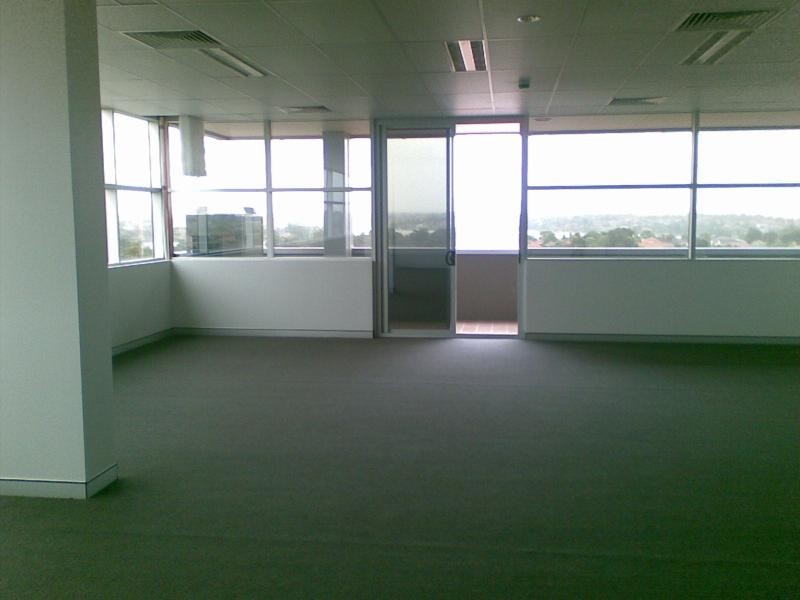 49 queen, Croydon NSW 2132