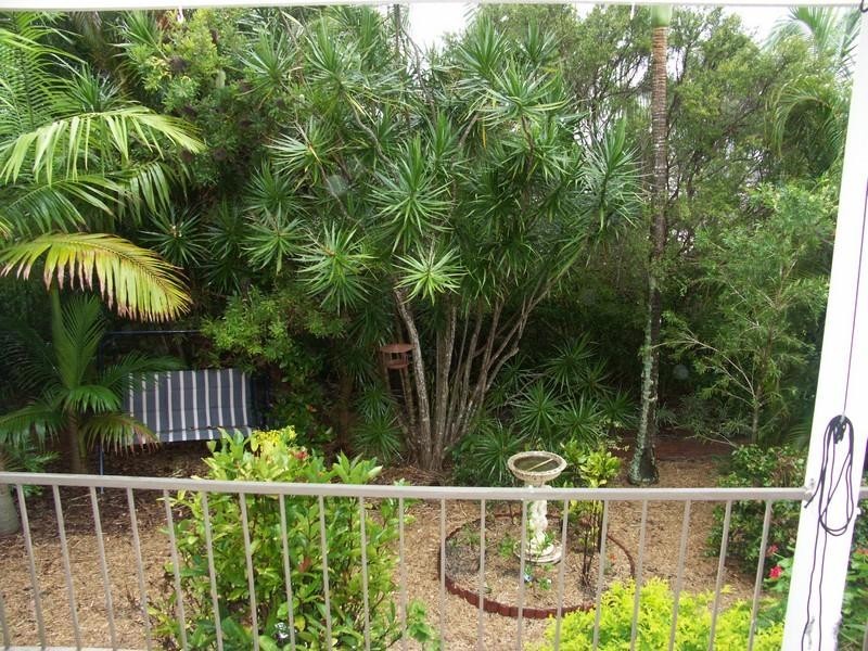 6 Elanora Terrace, Noosa Heads QLD 4567