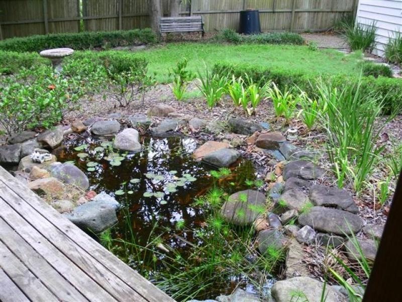 68 Allambi Terrace, Noosa Heads QLD 4567