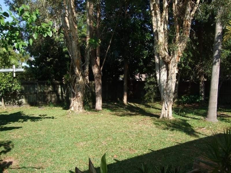 17 Yellowood Close, Tewantin QLD 4565