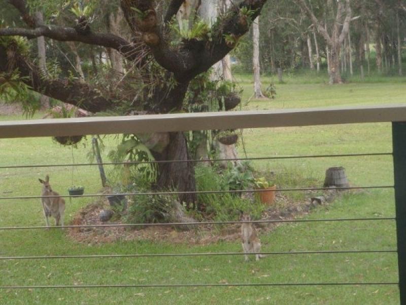 24 Tronson Road, Ringtail Creek QLD 4565