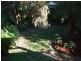 239 Edwards Street, Sunshine Beach QLD 4567