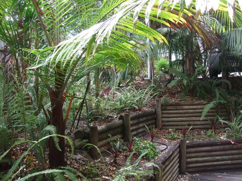 243 Edwards Street, Sunshine Beach QLD 4567