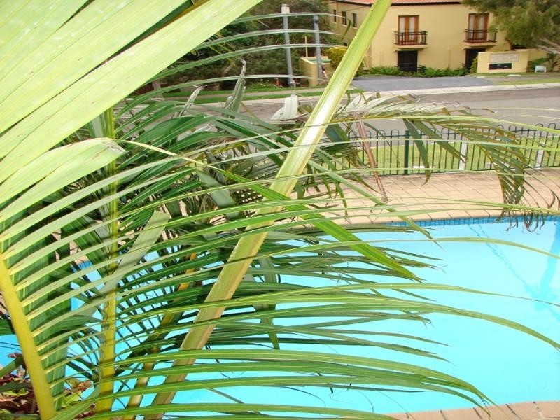 4/40 Elanda Street, Sunshine Beach QLD 4567