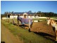 Summerholm QLD 4341