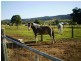 Summerholm QLD 4341