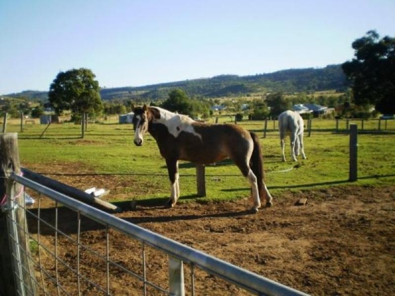 Summerholm QLD 4341