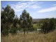 Summerholm QLD 4341