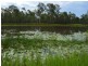 Morton Vale QLD 4343