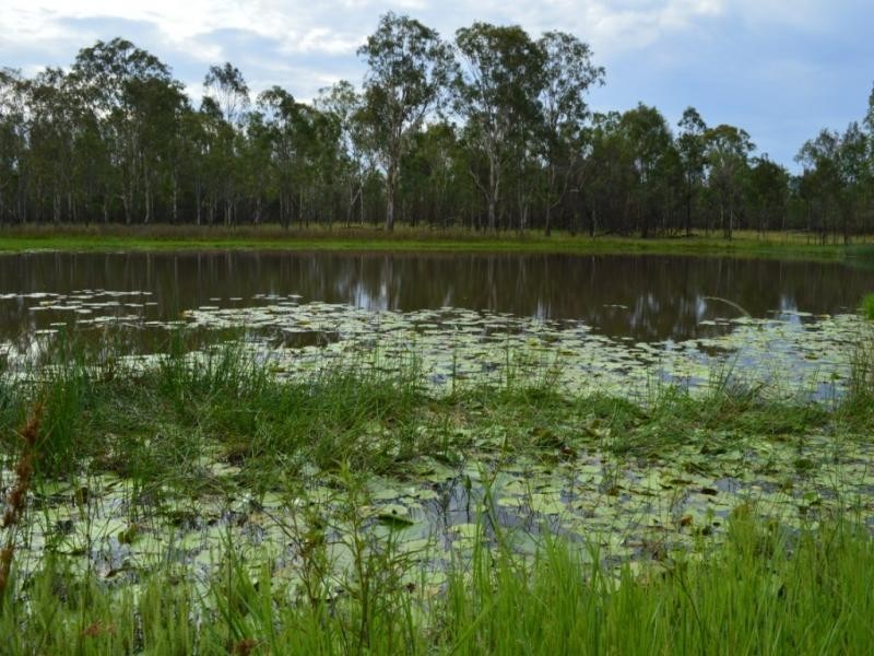 Morton Vale QLD 4343