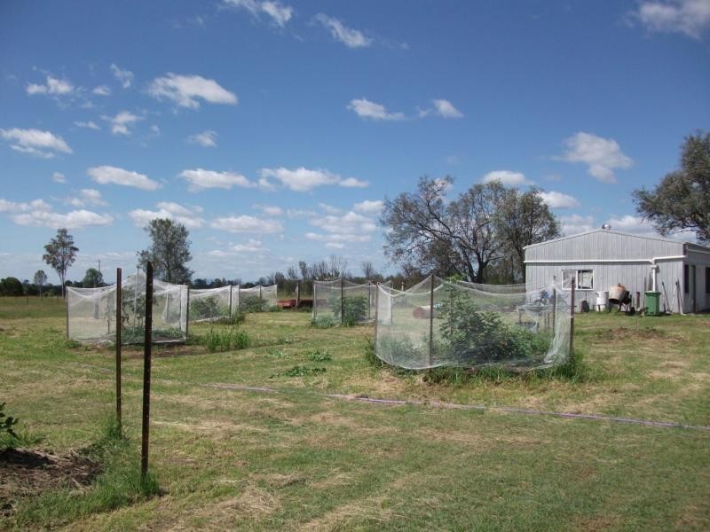 Morton Vale QLD 4343