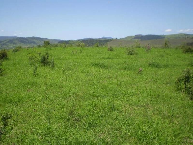 Ropeley QLD 4343