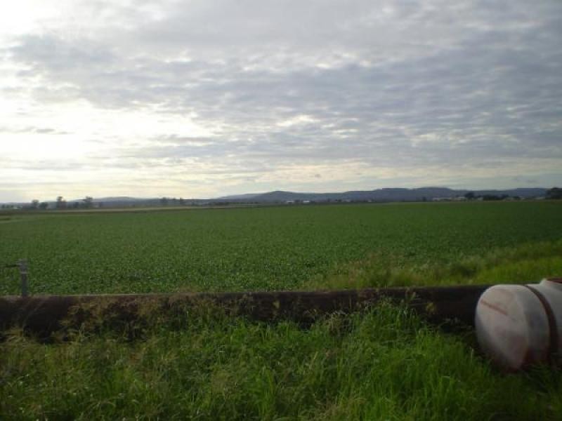 Lake Clarendon QLD 4343