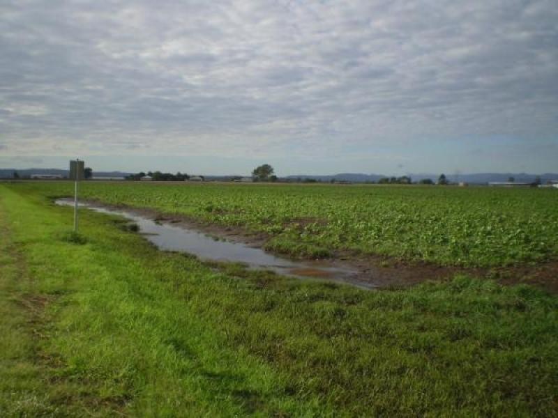 Lake Clarendon QLD 4343