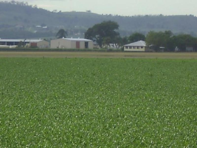 Lake Clarendon QLD 4343