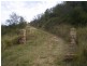 Laidley Creek West QLD 4341