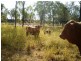 Forest Hill QLD 4342