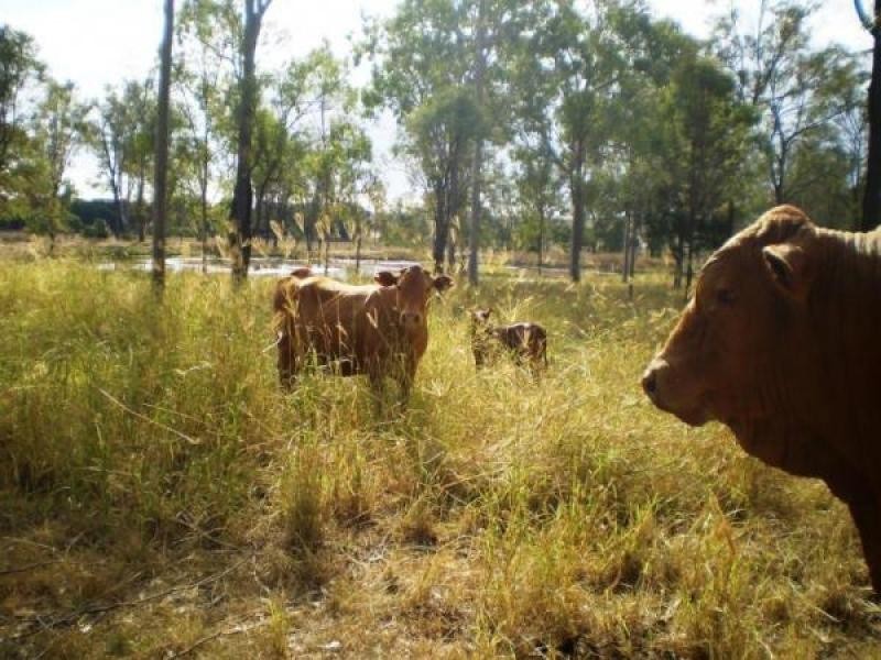 Forest Hill QLD 4342
