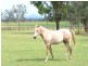 Lowood QLD 4311