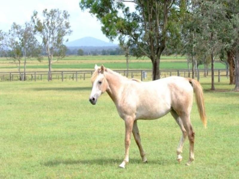 Lowood QLD 4311