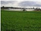 Laidley North QLD 4341
