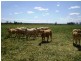 Laidley North QLD 4341